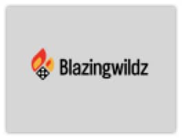 BlazingWildz Casino Review JoyJudge.com